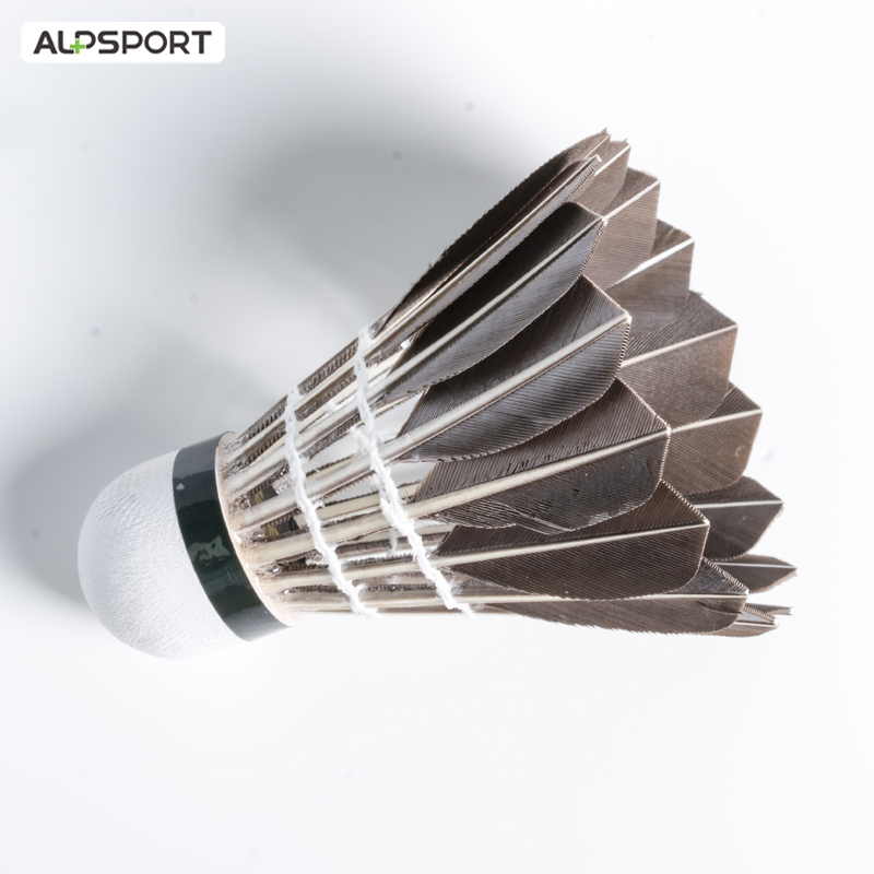 ALP 806 Badminton Shuttlecocks - Badminton Nylon Shuttlecock recension och pris