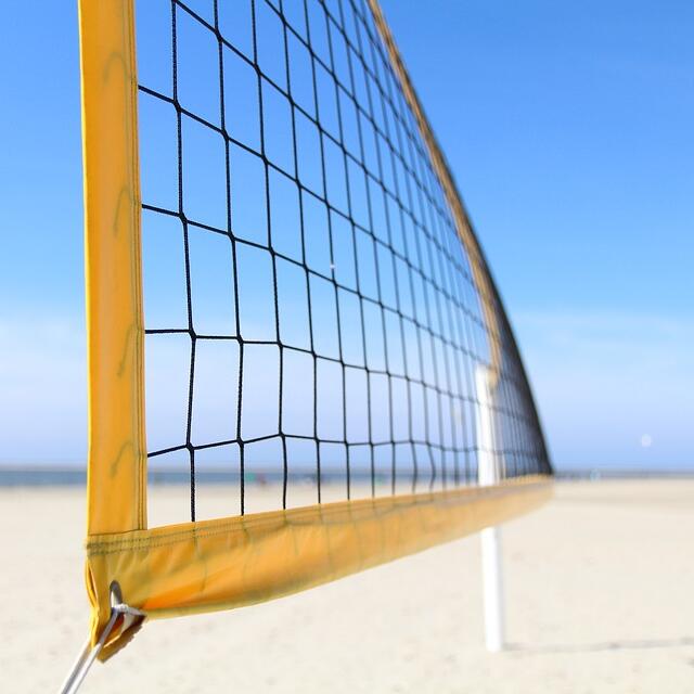 Multi-Purpose Knotted Sports N - Badminton Netting recension och pris
