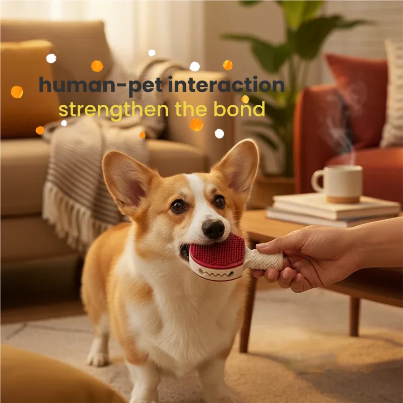 Dog toy badminton ball, unbrea - Badminton Bwf recension och pris